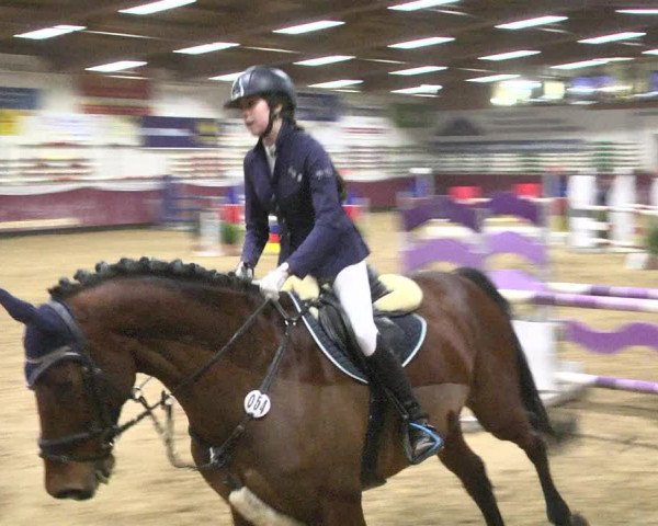 Reitturnier Eicherloh 2018