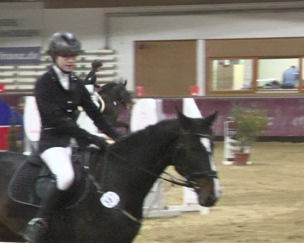Reitturnier Eicherloh 2018