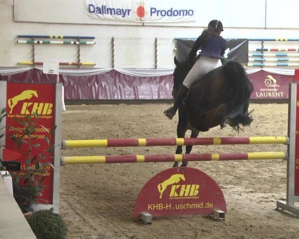 Reitturnier Eicherloh 2018