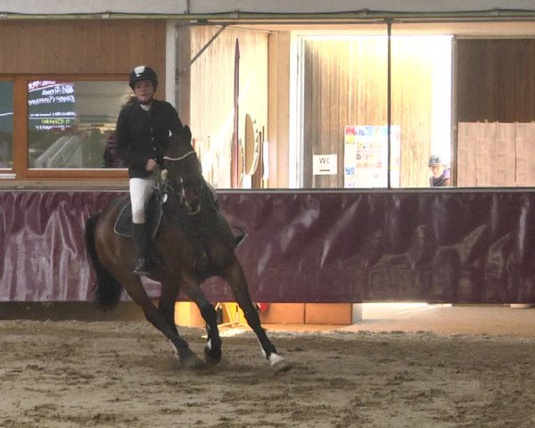 Reitturnier Eicherloh 2018