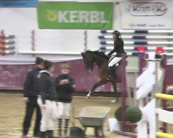 Reitturnier Eicherloh 2018