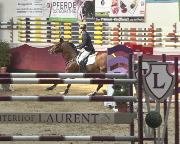Reitturnier Eicherloh 2018