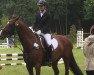 jumper Eviera (KWPN (Royal Dutch Sporthorse), 2009, from Warrant)