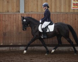 broodmare Ma Fleur 10 (German Riding Pony, 2012, from Bumerang)