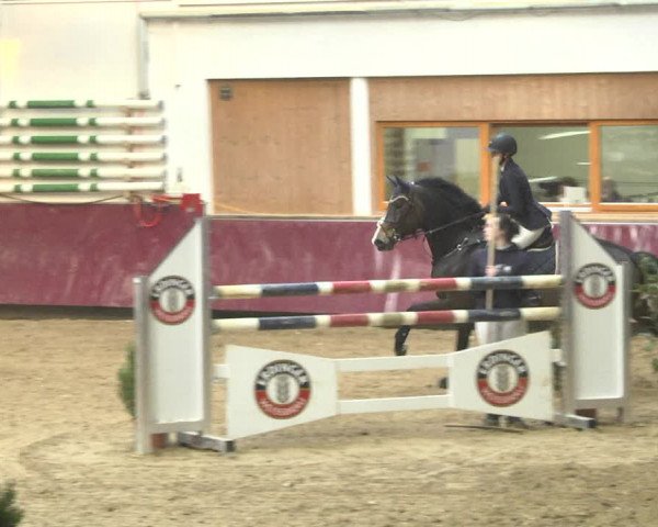 Reitturnier Eicherloh 2018
