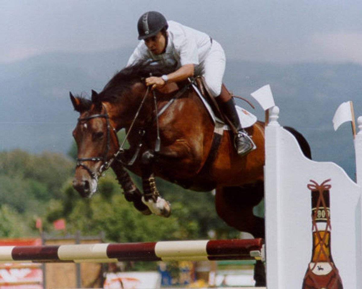 broodmare Takana LS (Mexican Riding Horse, 1998, from Dollar de la Pierre)