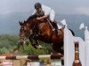 Zuchtstute Takana LS (Mexikanisches Reitpferd , 1998, von Dollar de la Pierre)