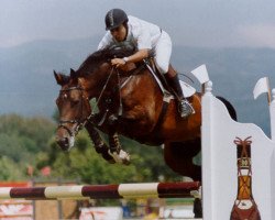 broodmare Takana LS (Mexican Riding Horse, 1998, from Dollar de la Pierre)