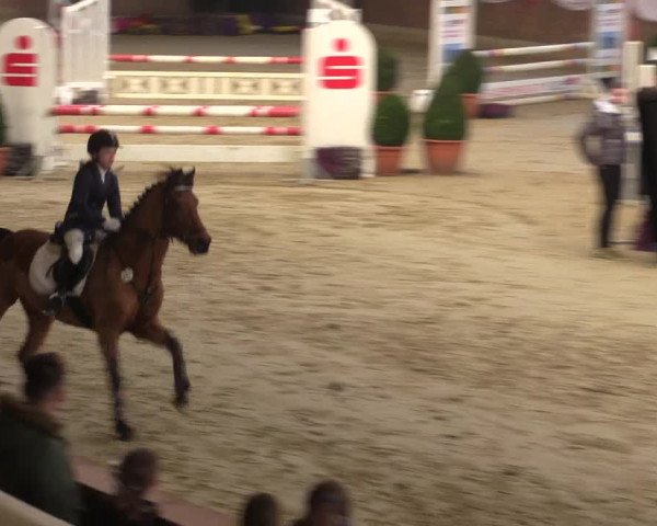 Reitturnier Goch 2018
