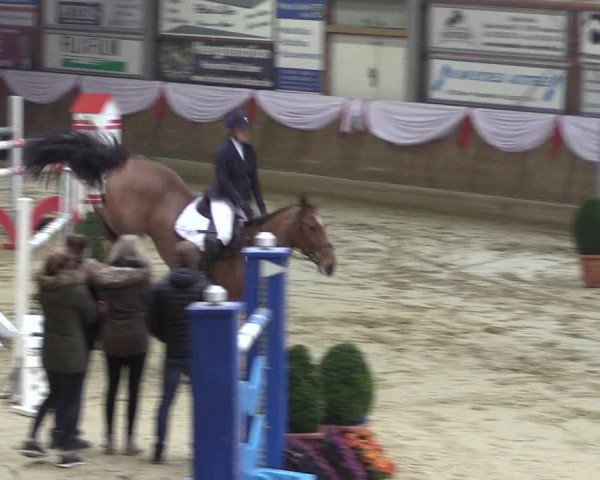Reitturnier Goch 2018