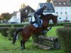 dressage horse Fürstenkult (Trakehner, 2012, from Kaiserkult TSF)