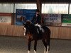 dressage horse Magic Brandy Candy (Westphalian, 2013, from Belissimo NRW)