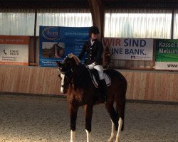 dressage horse Magic Brandy Candy (Westphalian, 2013, from Belissimo NRW)