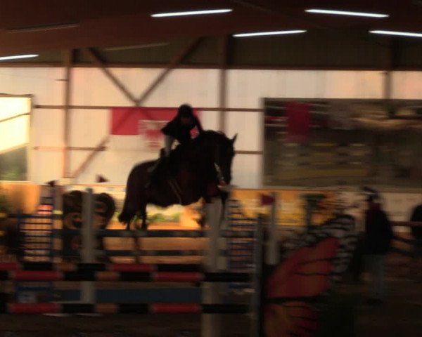 Große Jumping-Trophy Pausin 2021