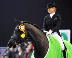 dressage horse DSP Sammy Davis jr. (Bavarian, 2006, from San Remo)