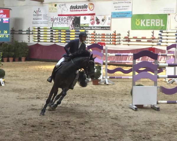 Reitturnier Eicherloh 2018