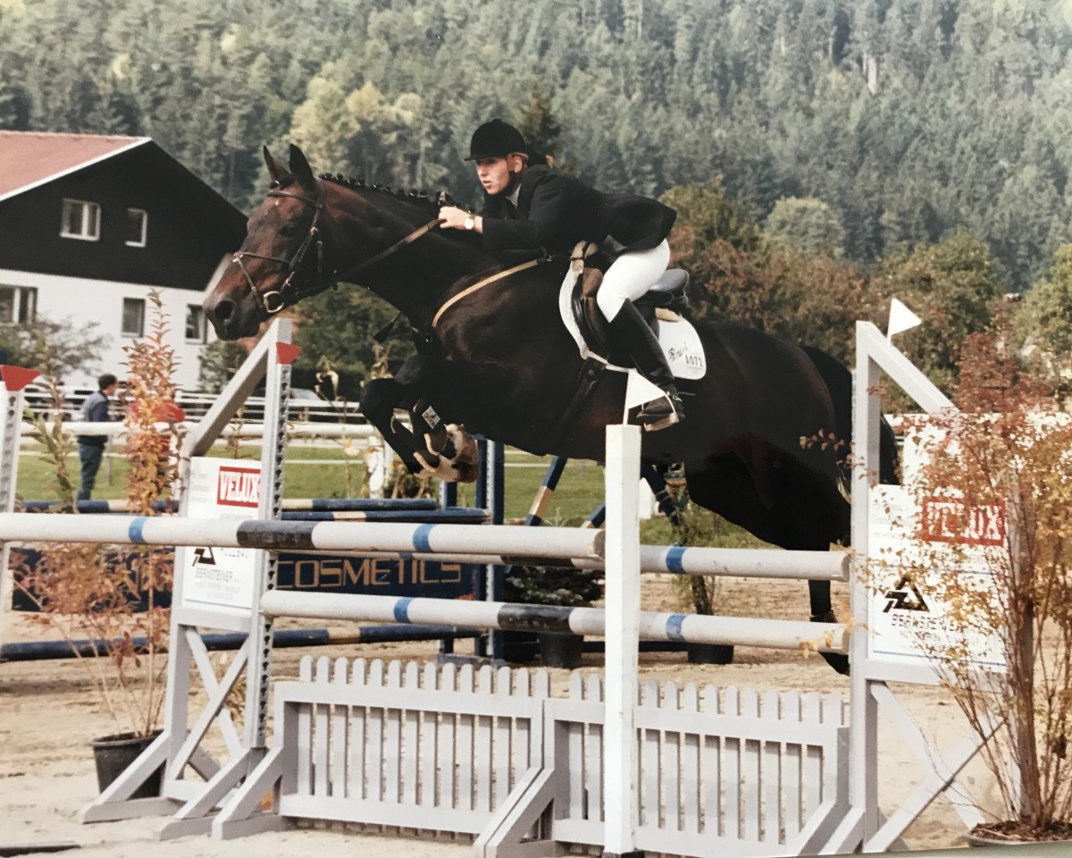 stallion Ravel (Austrian Warmblood, 1981, from Rapallo xx)