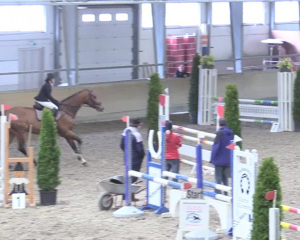 Reitturnier Waghäusel-Wiesental 2018