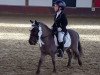 dressage horse Sir Balthasar (unknown, 2012)