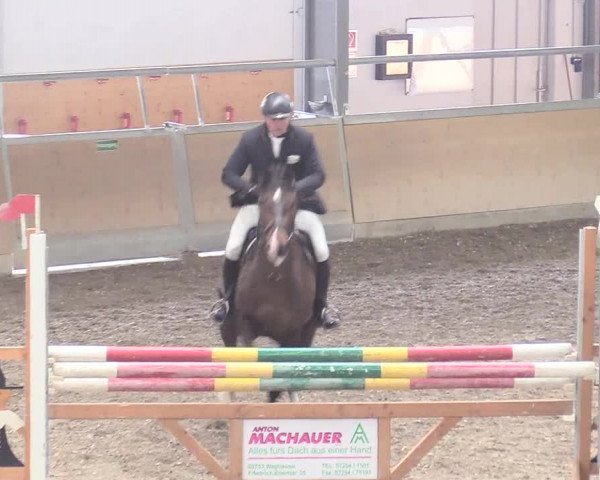 Reitturnier Waghäusel-Wiesental 2018