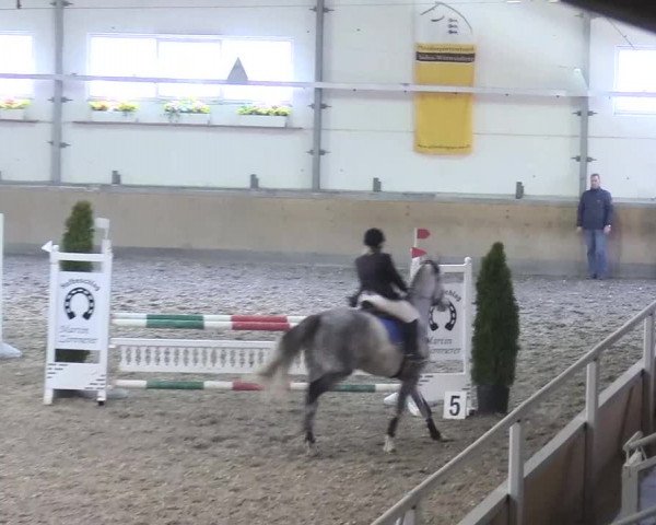 Reitturnier Waghäusel-Wiesental 2018