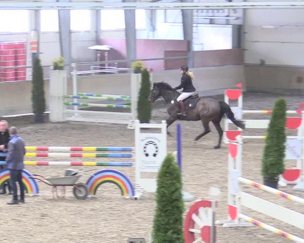 Reitturnier Waghäusel-Wiesental 2018