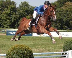 jumper Ugaulin du Bosquetiau (Belgian Warmblood, 2004, from Kashmir van't Schuttershof)