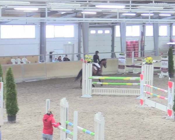 Reitturnier Waghäusel-Wiesental 2018