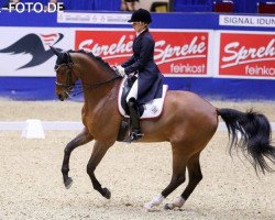 dressage horse Sandro's Bud (KWPN (Royal Dutch Sporthorse), 2006, from Sandro Hit)