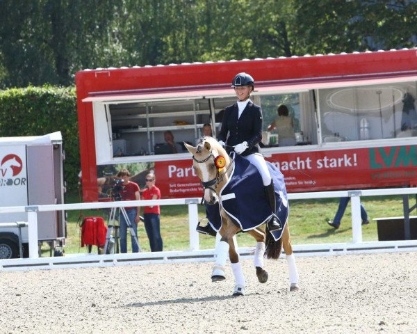 broodmare Championa L (German Riding Pony, 2011, from FS Champion de Luxe)