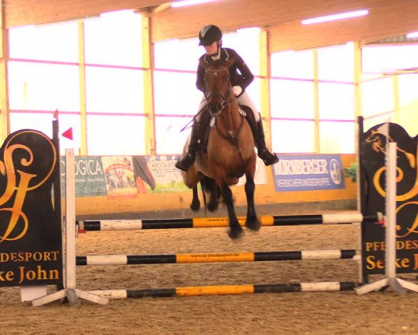 Reitturnier Pausin 2018