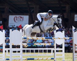 broodmare Wolga Queen CH (Swiss Warmblood, 1999, from Wagenaar)