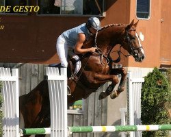 jumper For Win de Gesto (Swiss Warmblood, 2006, from For Pleasure)