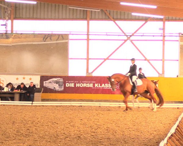 Reitturnier Pausin 2018