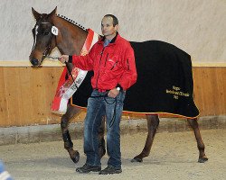 Springpferd Alina vom Pferdeparadies CH (Schweizer Warmblut, 2010, von Comet A.S. FL.)