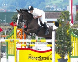 jumper Pinta CH (Swiss Warmblood, 2002, from Padarco van het Hertsveld)