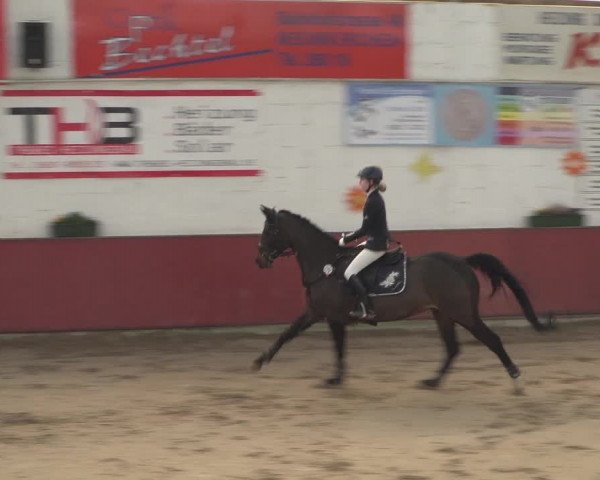Reitturnier Neunkirchen-Furpach 2018
