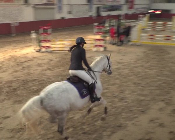 Reitturnier Neunkirchen-Furpach 2018