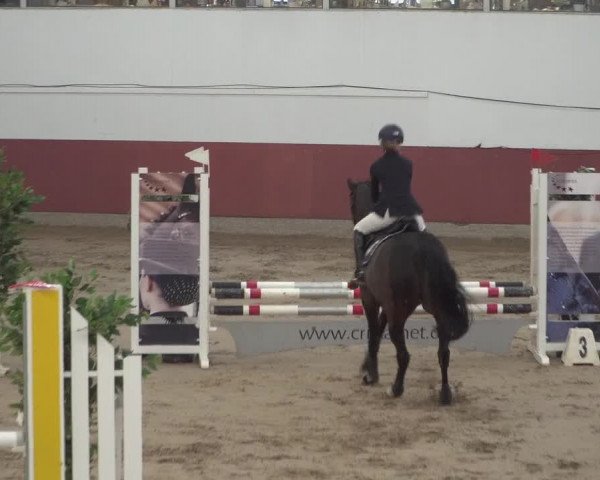 Reitturnier Neunkirchen-Furpach 2018