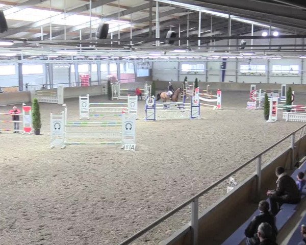 Reitturnier Waghäusel-Wiesental 2018