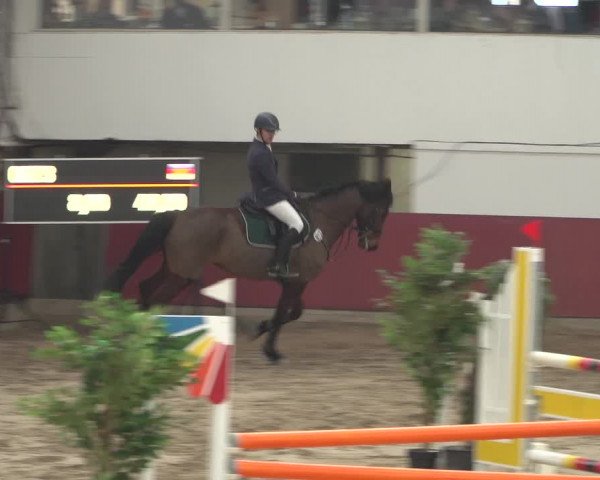 Reitturnier Neunkirchen-Furpach 2018