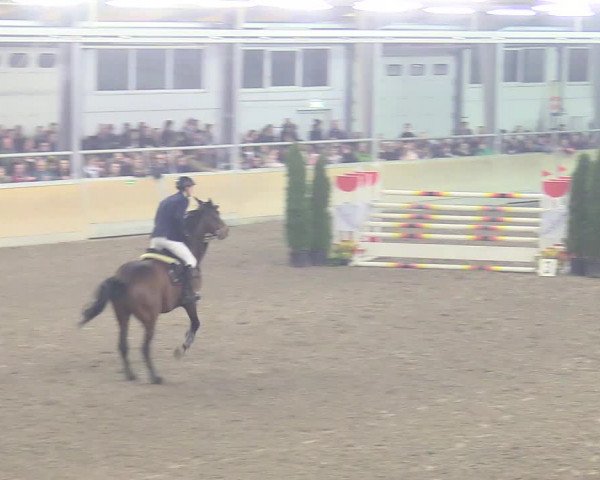 Reitturnier Waghäusel-Wiesental 2018