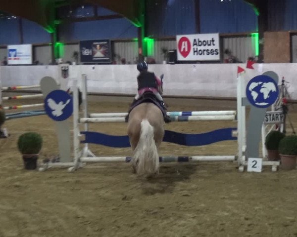 Reitturnier Lindlar-Süttenbach 2018