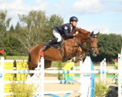 jumper DSP Dornadello (German Sport Horse, 2008, from Dornado)