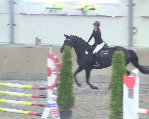 Reitturnier Waghäusel-Wiesental 2018