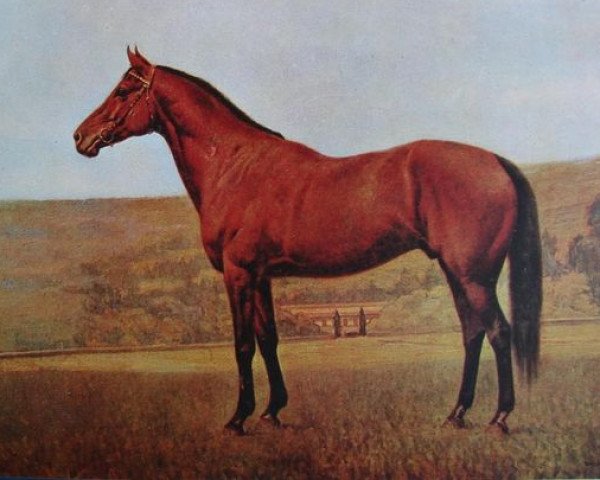 stallion Congreve xx (Thoroughbred, 1924, from Copyright xx)