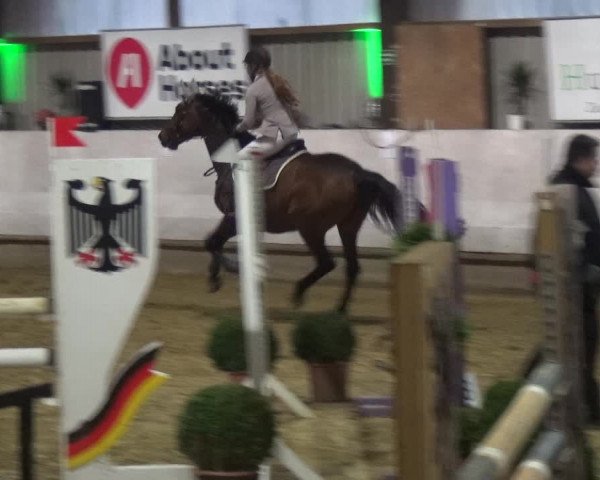 Reitturnier Lindlar-Süttenbach 2018