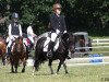 dressage horse Steinburgs Faiza (Shetland Pony, 2009, from Vitus von der Ostsee)