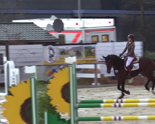 Reitturnier Schloß Holte 2018