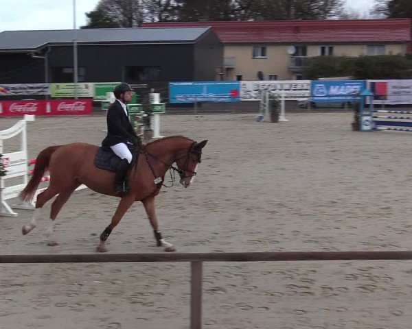 Reitturnier Schloß Holte 2018
